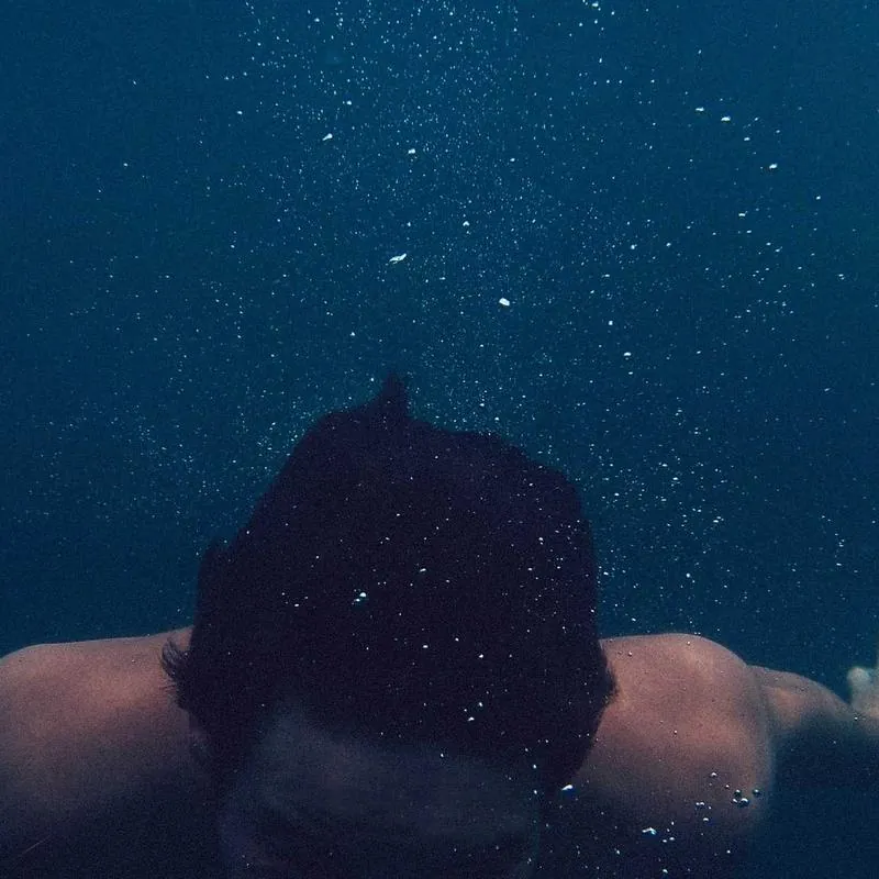 تشيز كيك توت